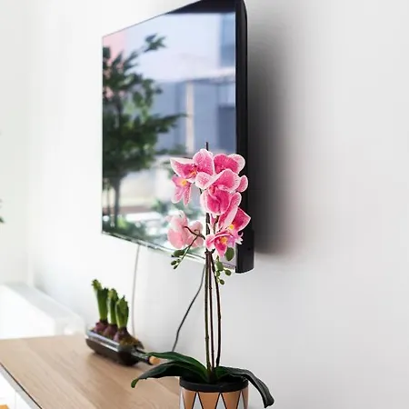 Maya's Flats & 18 - Nadmotlawie Apartment