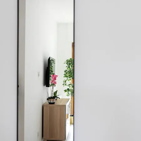 Maya's Flats & 18 - Nadmotlawie *